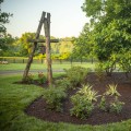 Why Homeowners Choose Mulch Services After Tree Service In Northern Virginia